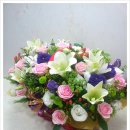 에스앤에스메디칼 이미지