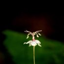 큰바위집 이미지