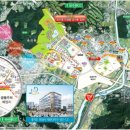 센터프라자 앞 이미지