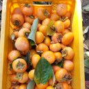 군민회관 이미지