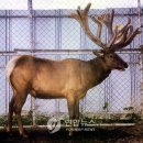 나주2농장 이미지