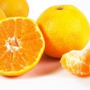 명품과일 이미지