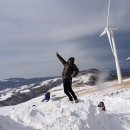 삼양목장 이미지