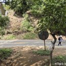 봉서1리 이미지