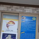 해송활어회