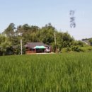 군북농협가공사업소 이미지