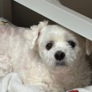 매직월드 PC방 | 11월 일기