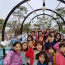 용인대 현대태권도 이미지