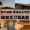 조끄띠 | 내돈내산 제주애월독채숙소추천 애월조끄띠A동 별이 잘보이는 마당넓은 힐링숙소