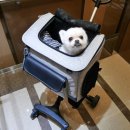 로얄세탁소 이미지