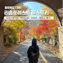 정원노래연습장 | 제천 리솜 포레스트 레스트리 S20 예약 체크인 포토존 후기