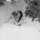 로제하우스 이미지