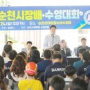 제17회 순천시장배 수영대회 이미지