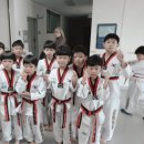 용인대태권도 청우체육관 이미지