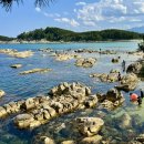 자작도해변 이미지