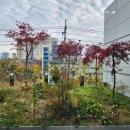 동덕한의원 이미지