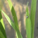 예천군농업기술센터 이미지