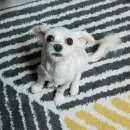 공단밋션 이미지