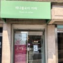 레나플로라