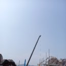 목련수선
