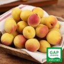 광양매화골농원 영농조합법인 이미지