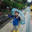 풍천초등학교 병설유치원 이미지