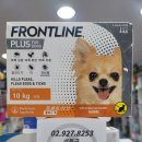 독플러스 이미지