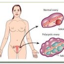 경희대성한의원 이미지
