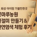 지호농원 | [화성 아이랑 가볼만한곳] | 꽃마루농원 인절미 만들기·황토염색 후기 : 손의 온도로 배우는 하루