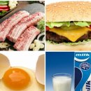 팜동물약국 이미지