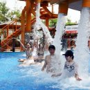 숲속의 캐슬 이미지