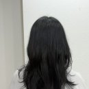 함샘헤어