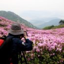 합천 황매산 산행 후기 이미지