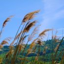 THE KING 더킹 이미지