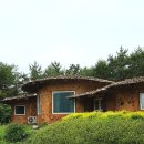 고려황토실내 | 바쁜 일상 OFF, 강진 다산황토방펜션 1박으로 두통변비사라짐🌟
