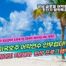 강남-017 이미지