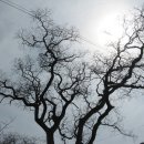 중리마을회관 이미지