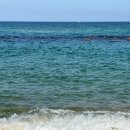 해변여행횟집 이미지