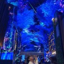 [인천/영종도] 인스파이어리조트 내에서 나름 가성비로 밥 먹고 싶은 사람, ”하이파이치킨 앤 비어...