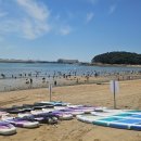 왕산해수욕장 | 인천 여행 왕산해수욕장 해양 액티비티 더패들보드 후기