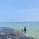 지금 아야진 이미지