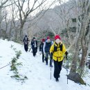 자연말이김밥천국 | 한라산 성판악 통제로 다녀온 윗세오름 영실코스 등반 후기