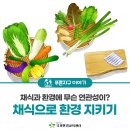 채식과환경 네이버블로그