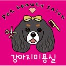 오락반장요미 이미지