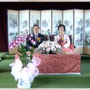 면천초교 Daum카페