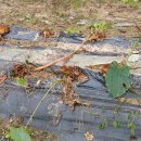 늘갓농장 이미지