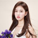멥시 Daum카페