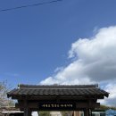 구룡포 소품샵 구룡포방파제 호랑이바나나글라세 기념품추천 남다집 추억상회 여든여덟밤 구룡포카페추천