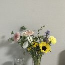 리안블라썸