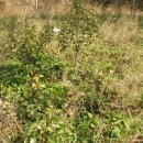 땅골농장 이미지